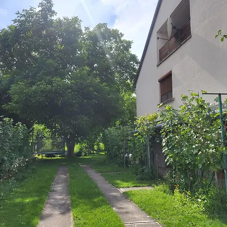 Farkas Piroska Casa de Férias Bogács