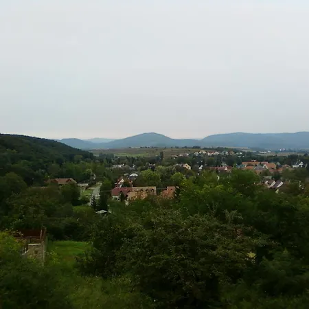 Farkas Piroska