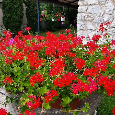 Farkas Piroska Vendeghaz Holiday home