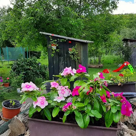 Holiday home Farkas Piroska Vendeghaz *