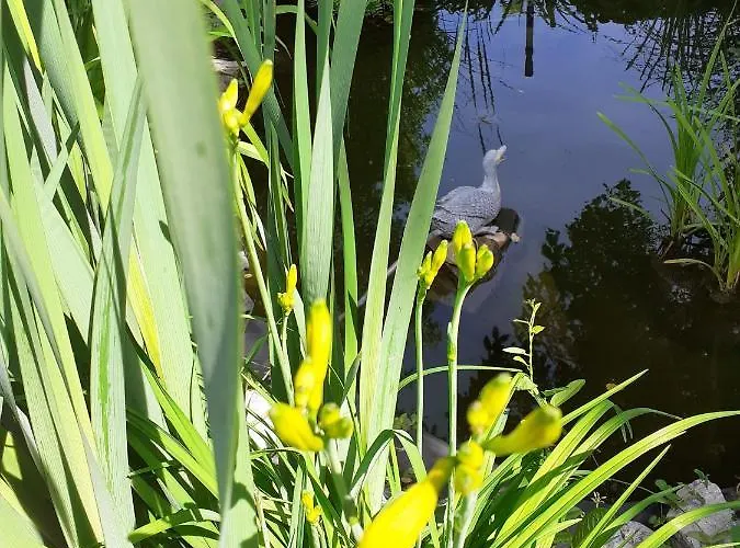 Semesterbostad Farkas Piroska Vendeghaz Bogács