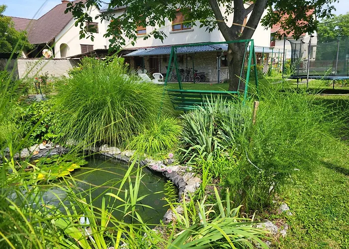 Farkas Piroska Vendeghaz Case de vacanță *