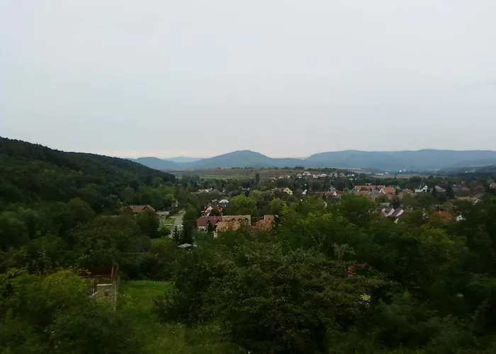 Farkas Piroska Vendeghaz