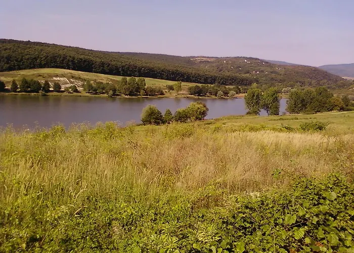 Farkas Piroska Vendeghaz *