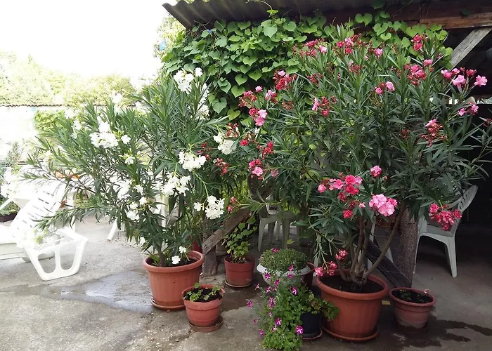 Farkas Piroska Vendeghaz Semesterbostad