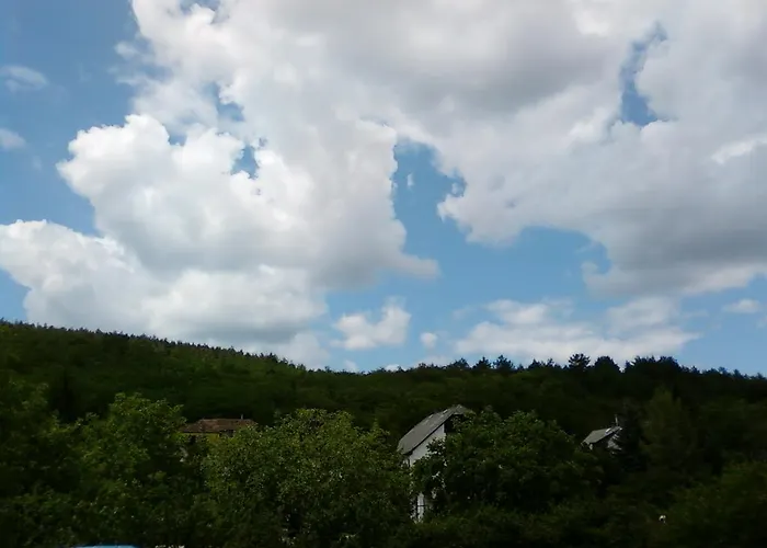 Farkas Piroska Vendeghaz *